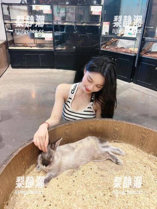 快来www.51.com，网址上都有这些神奇的瓜，你绝对想不到！