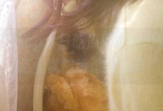 51cg今日吃瓜网地址刷新，猛戳这里以防错过新瓜啊
