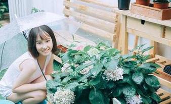 在线围观！51吃瓜全网大揭秘，连你家猫都忍不住想点击！