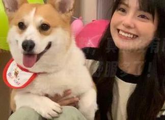 zztt黑料，真的没有!收藏这条，看完心里舒服多了！