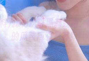 探秘扒哥黑料线路：网贴吧里的瓜照应有尽有！