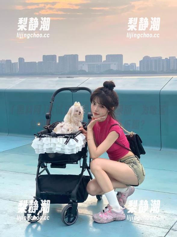 黑料网 试试这款黑料网苹果版,为啥鲨鱼和瓜都能成为我的周日乐趣?