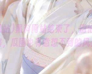 黑料网站结束了，别怕，永不迷路，瓜圈也有意想不到的风景！