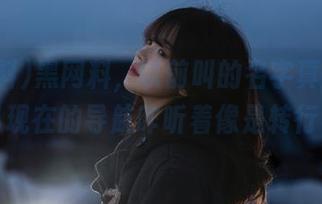 黑网料，以前叫的名字真让人怀念，现在的导航咋听着像是转行了？